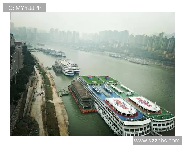 成都乒乓球队精英赛的辉煌之路与突破性成就全景回顾